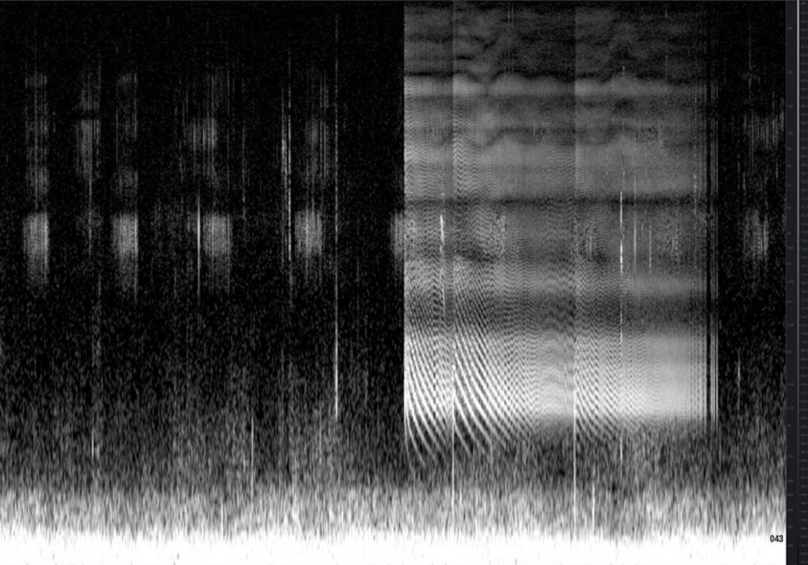 Foto: künstlerische Installation eines Studierenden